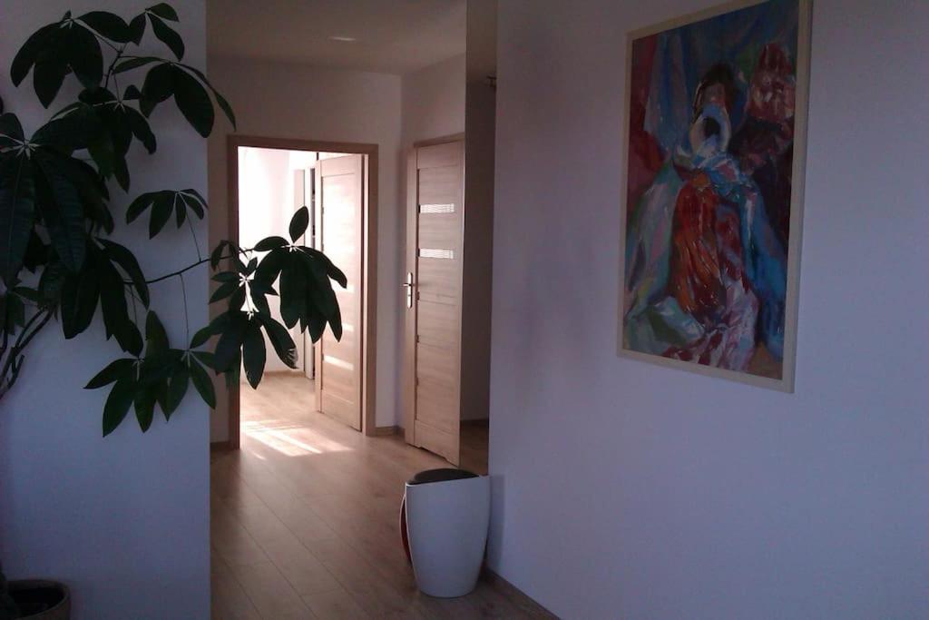 Peaceful Stay/Heart Of Gdansk/Unforgettable Exteriör bild