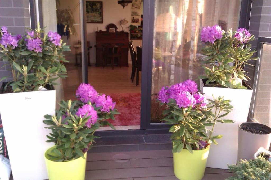 Peaceful Stay/Heart Of Gdansk/Unforgettable Exteriör bild